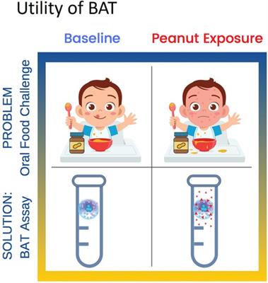 Towards an FDA-cleared basophil activation test